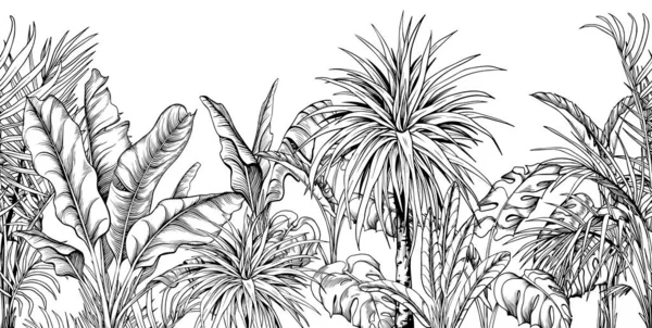 Seamless border with black and white tropical plants. — Stock vektor