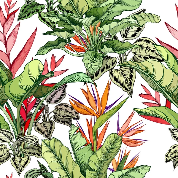 Vackert tropiskt mönster med strelitzia och heliconia blommor. — Stock vektor