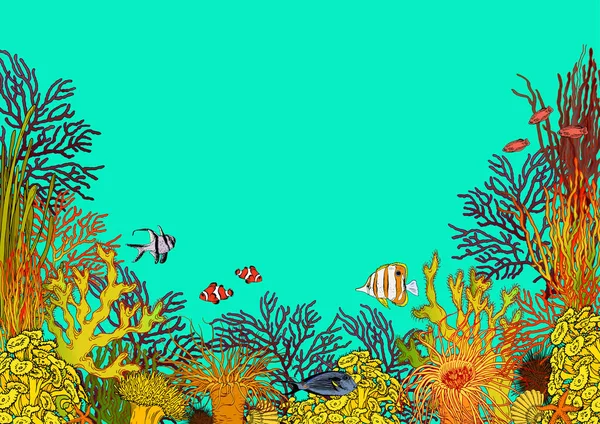 ภูมิทัศน์ใต้น้ําที่มีสีสันกับปะการัง anemones ทะเลและปลาเขตร้อนที่สวยงาม . — ภาพเวกเตอร์สต็อก