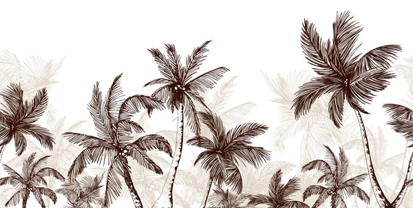 有棕榈树的永无休止的水平线风景 — 图库矢量图片