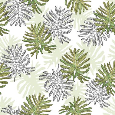 Tropical pattern with big philodenderon leaves.