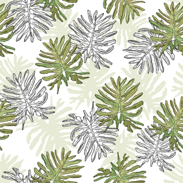 Tropical pattern with big philodenderon leaves. — Stock vektor