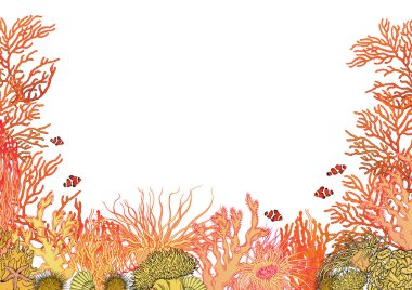 Bright colorful underwater scenery.