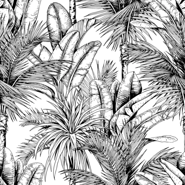 Fekete-fehér trópusi minta vázlatos pálmafákkal. — Stock Vector