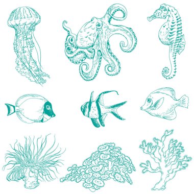 Su altı yaratıkları koleksiyonu.