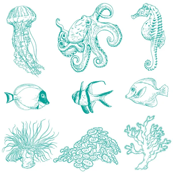 Collections de créatures sous-marines . — Image vectorielle