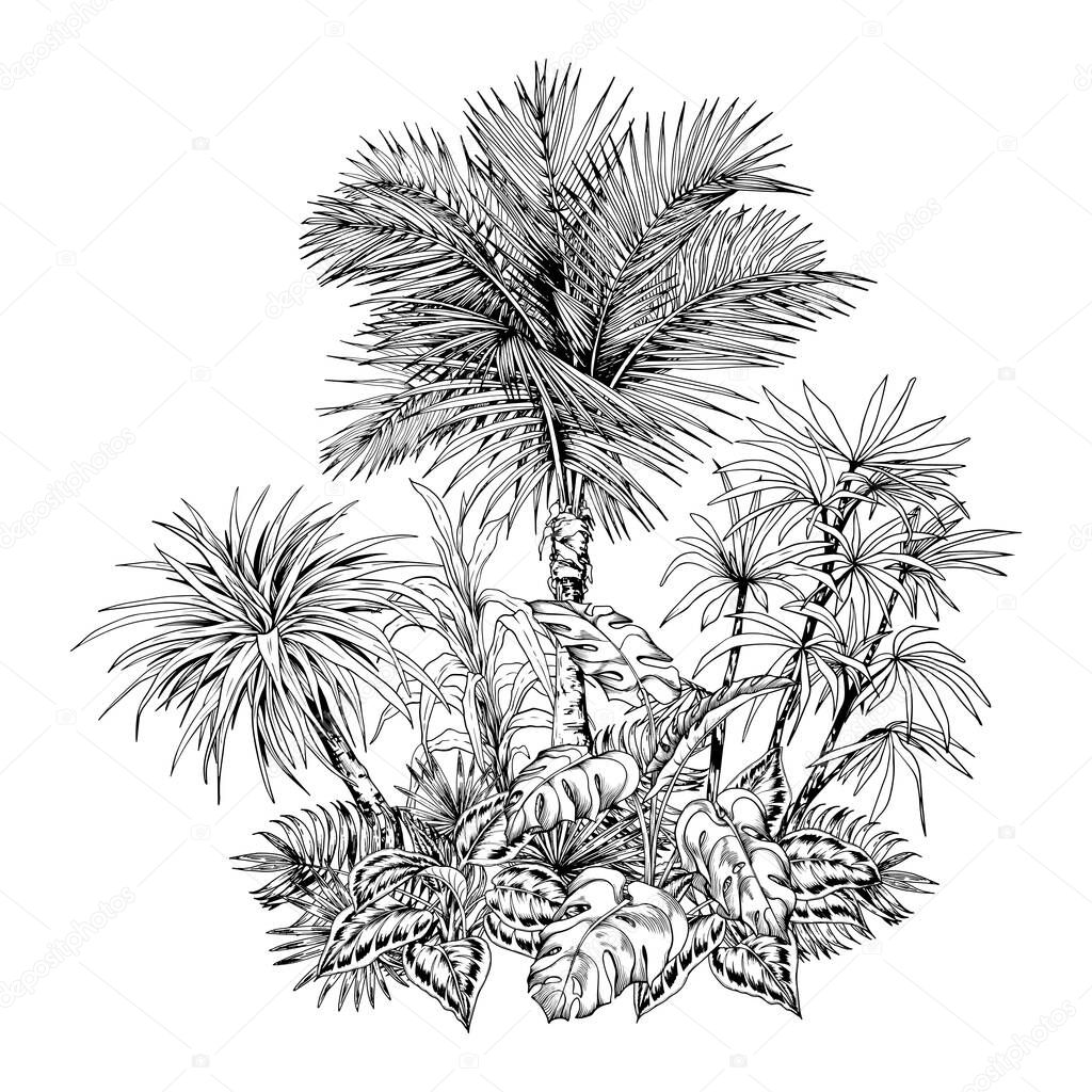 Tropical composition with sketchy palm trees and ornamental leaves.