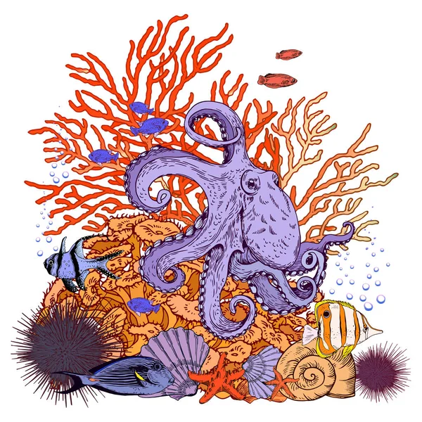 Paysage coloré sous-marin avec poulpe, coquillages, coraux et poissons tropicaux . — Image vectorielle