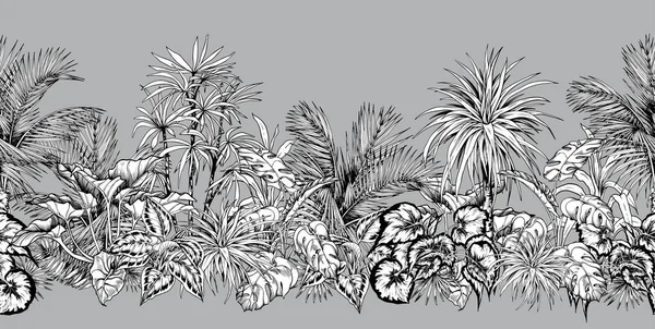 Seamless horizontal border with sketchy palm trees and tropical foliage. — Stock Vector