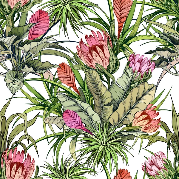 Kwiatowy wzór z egzotycznymi kwiatami protea i zielonymi liśćmi tropikalnymi. — Wektor stockowy