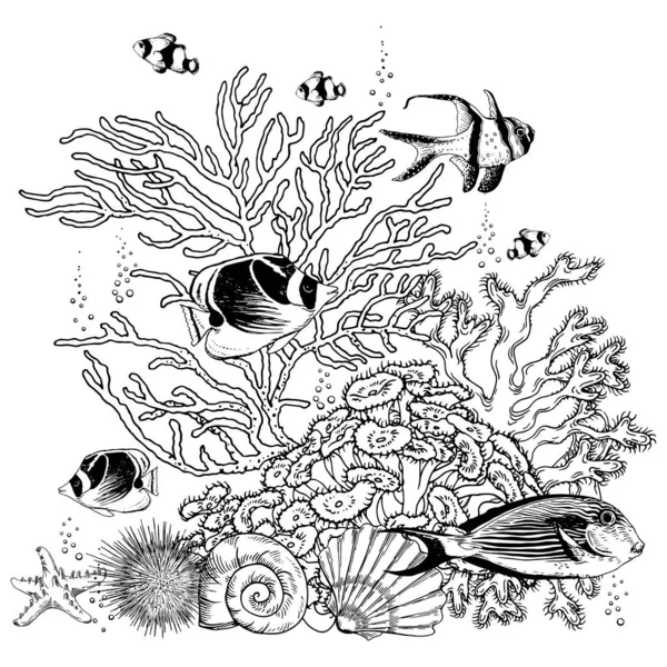 珊瑚、贝壳和热带鱼的黑白珊瑚礁景观. — 图库矢量图片