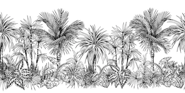 Бесшовная горизонтальная граница с обрывистыми пальмами . — стоковый вектор