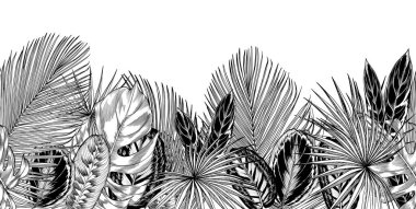 Tropikal palmiye ve süs yapraklarıyla kusursuz yatay kenar.