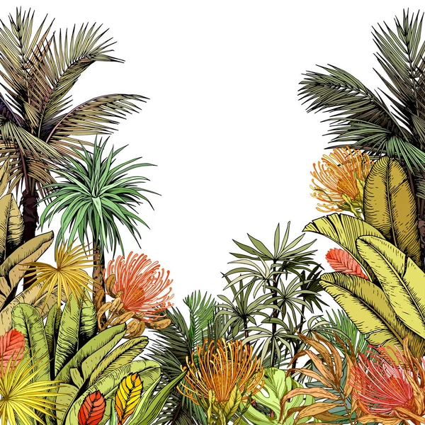 色彩斑斓的卡片，有椰子树和热带郁郁葱葱的叶子. — 图库矢量图片