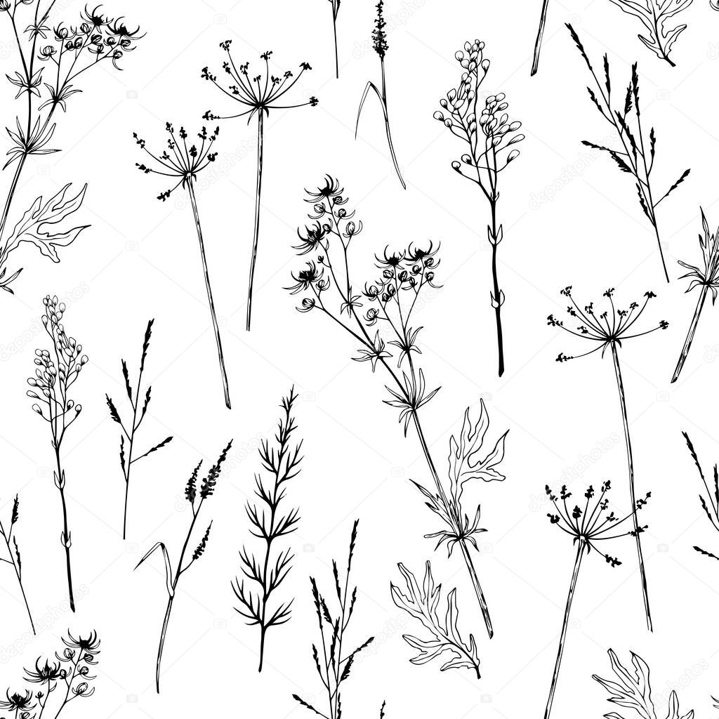 Seamless pattern with wild plants, herbs and flowers.