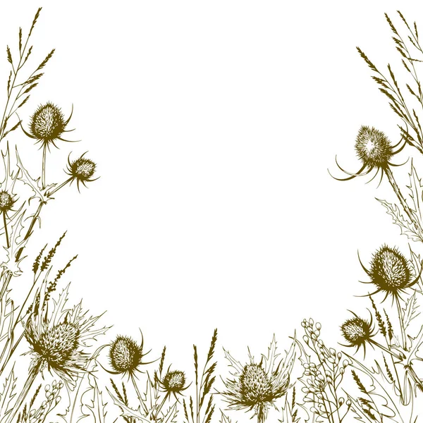 Квадратная рама с дикими травами, чертополохом и цветами . — стоковый вектор