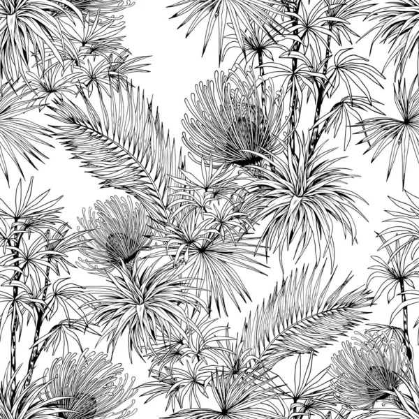 Motif sans couture noir et blanc avec fleurs exotiques Pincushion et feuilles de palmier . — Image vectorielle