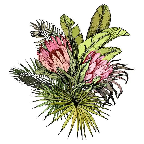 Egzotik Kral Protea çiçekleri ve palmiye yapraklarıyla tropik bir çiçek buketi.. — Stok Vektör