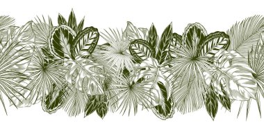 Yeşil dua bitkileri ve palmiye yapraklarıyla kusursuz yatay sınır.