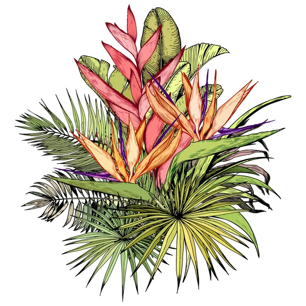 Tropical bouquet with exotic Paradise Bird flowers and green palm leaves. — Stock Vector