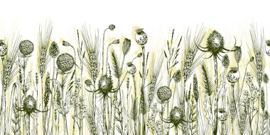 Yeşil çayır otları, devedikeni ve yabani çiçeklerle kusursuz bir arka plan..