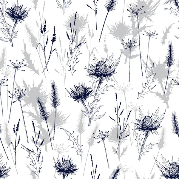 Patrón sin costura con hierbas silvestres prado y flores de cardo azul . — Archivo Imágenes Vectoriales