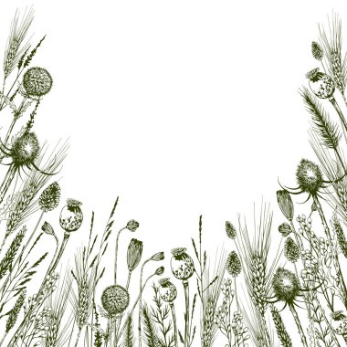 Yeşil çayır otları, devedikeni ve yabani çiçeklerle dolu kare kart..