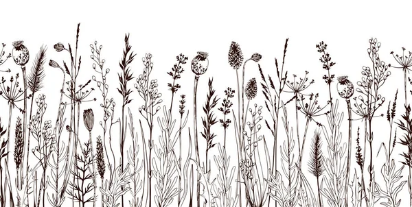 Bordure horizontale sans couture avec des fleurs sauvages de prairie et des herbes . — Image vectorielle