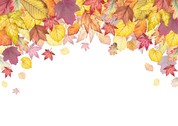 Barevná podzimní karta. — Stock fotografie