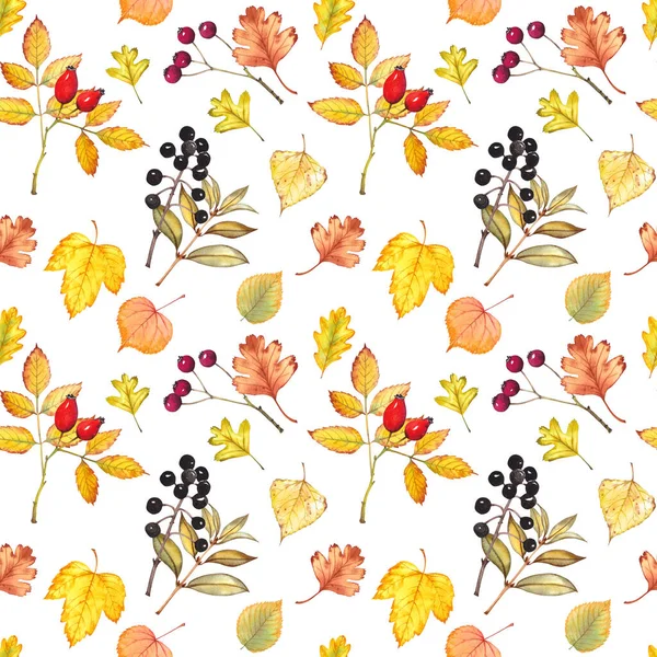 Naadloos patroon met herfstbladeren en bessen. — Stockfoto