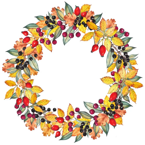 色とりどりの葉や果実を持つ秋の花輪. — ストック写真