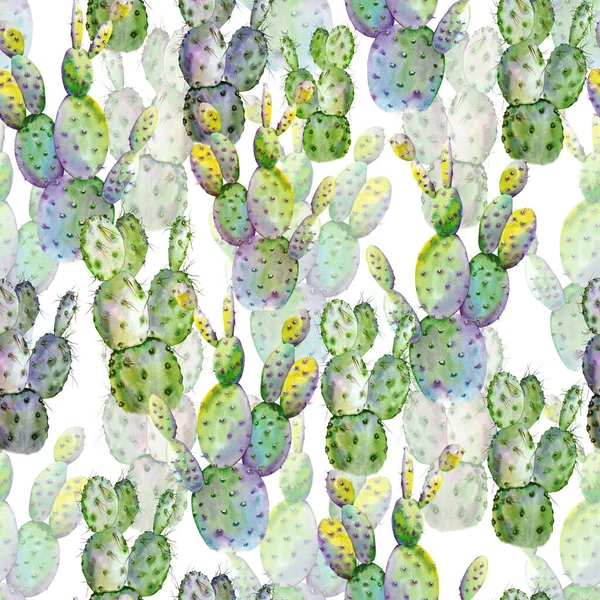 Sömlöst mönster med gröna kaktusväxter. — Stockfoto