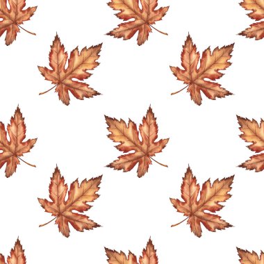 Akçaağaç yapraklı kusursuz desen.