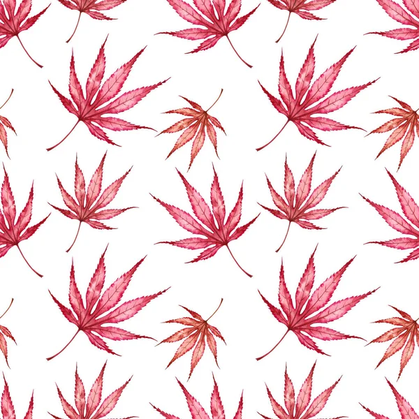 紅白いカエデの葉のシームレスなパターン. — ストック写真
