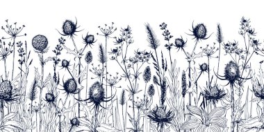 Çayırda yabani otlar ve çiçeklerle kusursuz yatay arkaplan.