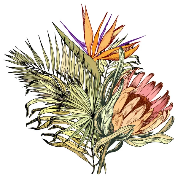 Bouquet tropical com protea rei exótico, flores Paradise Bird e folhas de palma . —  Vetores de Stock