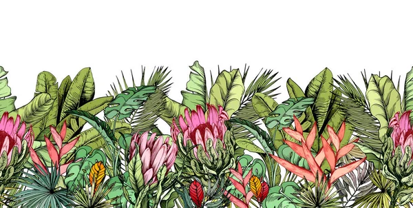 Ändlösa horisontella banner med tropiska blad, exotisk heliconia och protea blommor. — Stock vektor