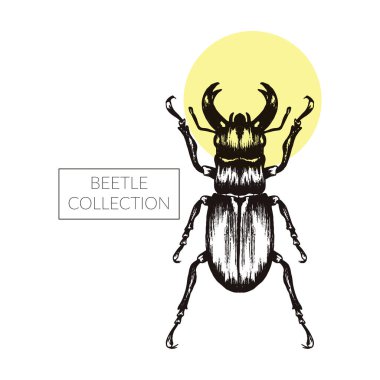 Dövme Tasarımı için Böcek Eli Çizim Vektörü Çizimi