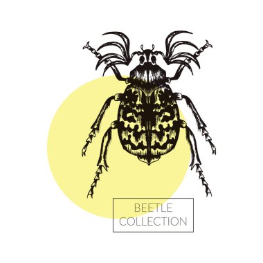 Gergedan Böcek Eli Dövme Tasarımı için Vektör İllüzyonu