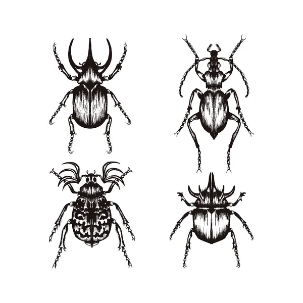 Sehr detaillierte Insektenskizzen. handgezeichnete Käfer Vektor-Set — Stockvektor