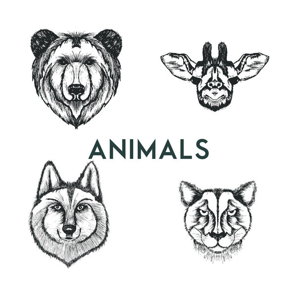Sketched Drawn Wild Animals Muzzles Vector Set