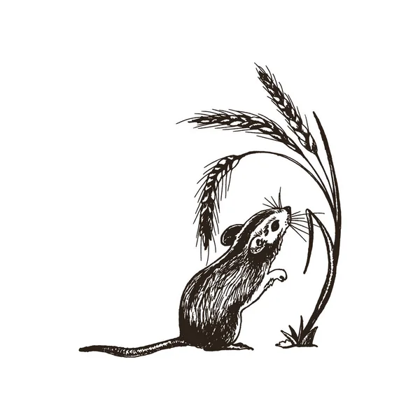 Mignon rongeur pelucheux animal debout à côté de Wheatear Vector Illustration — Image vectorielle