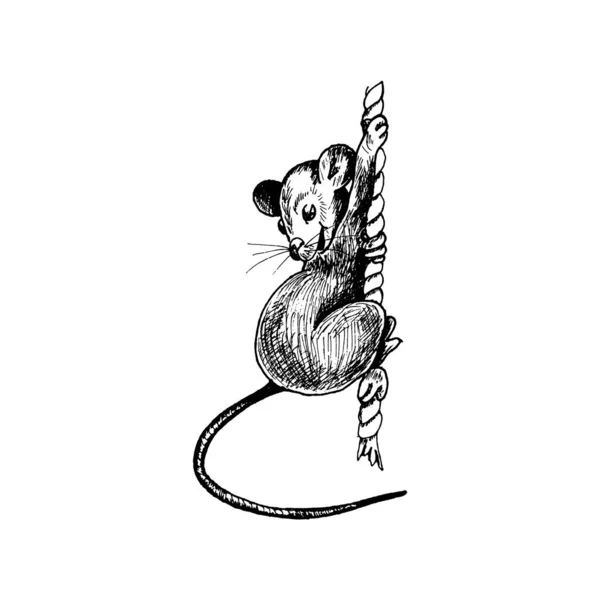 Ratte mit langem Schwanz als Neujahrssymbol klettert den Seilvektor hinauf Illustration — Stockvektor