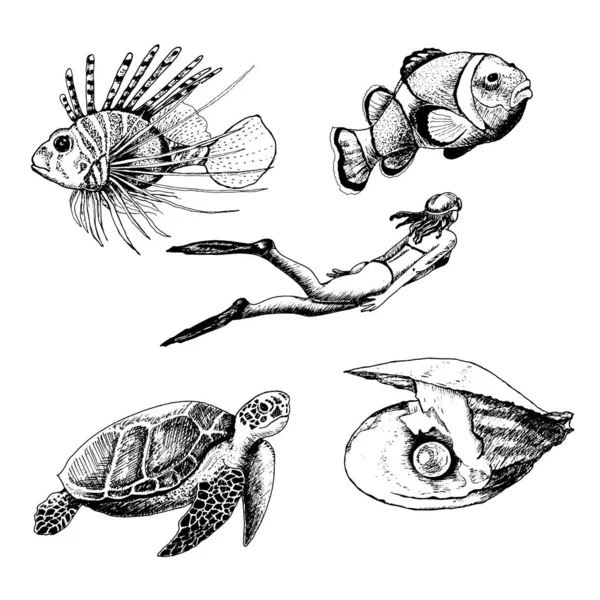 Ocean Life and Marine Creatures with Loggerhead Turtle and Shell Vector Set — ストックベクタ