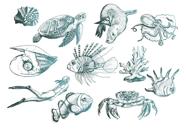 Ocean Life and Marine Creatures with Loggerhead Turtle and Shell Vector Set — ストックベクタ