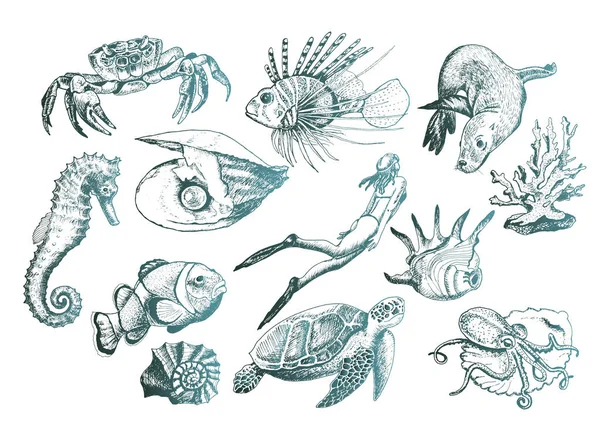 Ocean Life and Marine Creatures with Loggerhead Turtle and Shell Vector Set — ストックベクタ