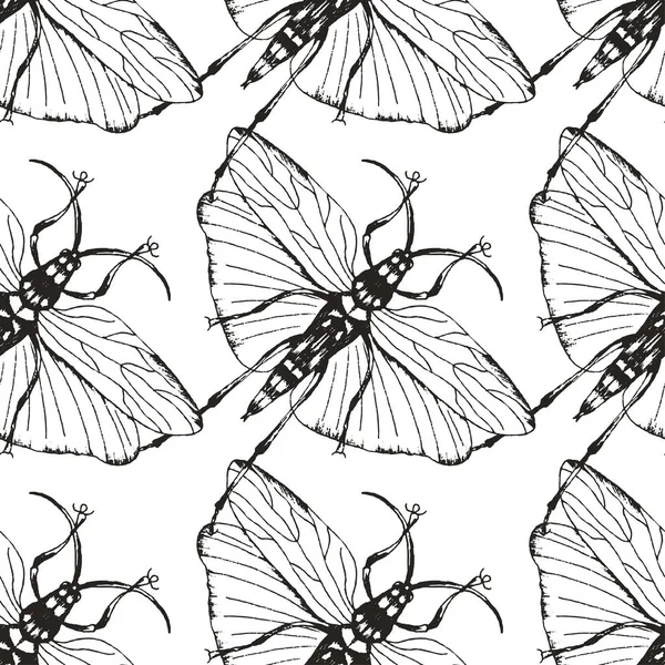 Modèle d'insectes sans couture avec scarabée ailé dans le vecteur — Image vectorielle