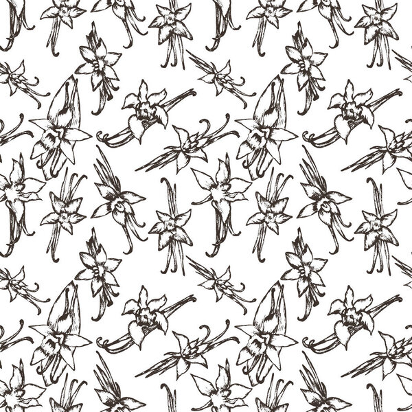 Vanilla Flowers and Sticks Seamless Pattern in Vector