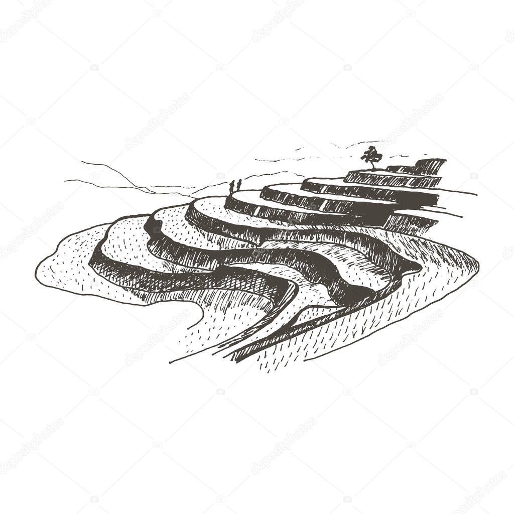 Rice Fields with Agricultural Crop Growing Landscape Vector Sketched Illustration. Hand Drawn Chinese Countryside View