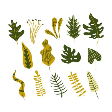 Soyut Süslü Tropik Bitkiler ve Yapraklar Vektör Kümesi. Moda Kart Tasarımı İçin Egzotik Yapraklar ve Hayvanat Bahçesi